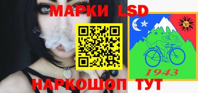 дмт Камышлов
