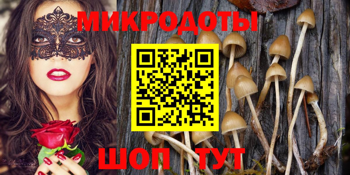Псилоцибиновые грибы прущие грибы  Вход с VPN  Галлюциногенные грибы прущие грибы  Йошкар-Ола 
